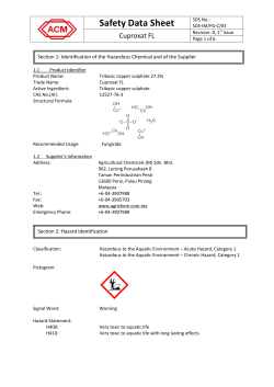 section 1 : chemical product and company identification