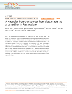 A vacuolar iron-transporter homologue acts as a detoxifier in