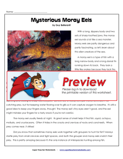 Mysterious Moray Eels - Super Teacher Worksheets