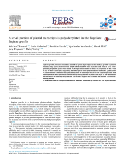 A small portion of plastid transcripts is polyadenylated in the