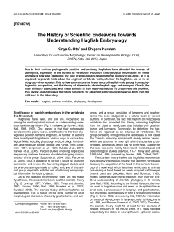 The History of Scientific Endeavors Towards Understanding Hagfish