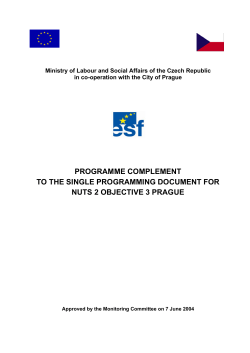 programme complement to the single programming document