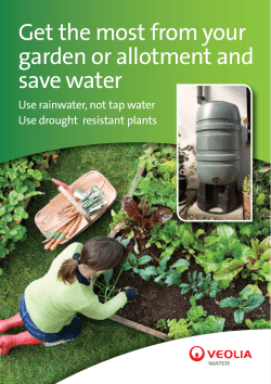 Get the most from your garden or allotment and save