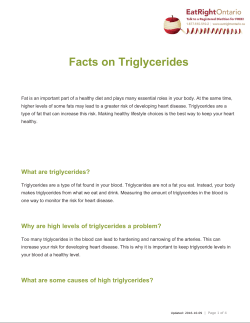 Facts on Triglycerides