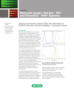 Molecular Imager &reg; Gel Doc&trade; XR+ and ChemiDoc - Bio-Rad