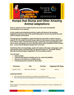 Humps that Slump and Other Amazing Animal