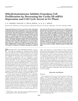 Dihydrotestosterone Inhibits Granulosa Cell Proliferation by
