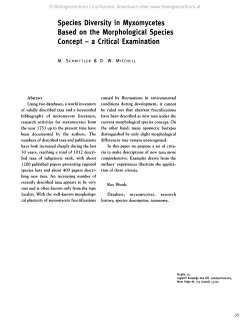 Species Diversity in Myxomycetes Based on the Morphological