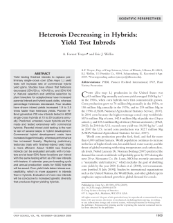 Heterosis Decreasing in Hybrids: Yield Test