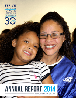 STRIVE Annual Report 2014