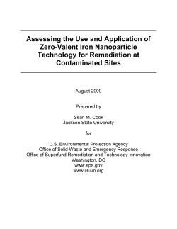 Assessing the Use and Application of Zero-Valent Iron - CLU-IN