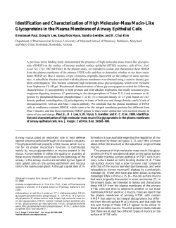 Identification and Characterization of High Molecular