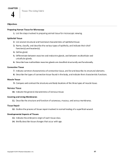 Student Outline Chapter 4