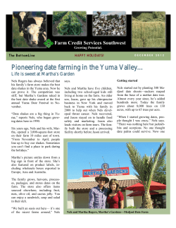 Pioneering date farming in the Yuma Valley&hellip;