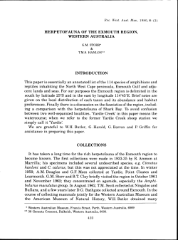 Adec Preview Generated PDF File