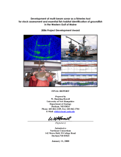 Development of multi-beam sonar as a fisheries tool for