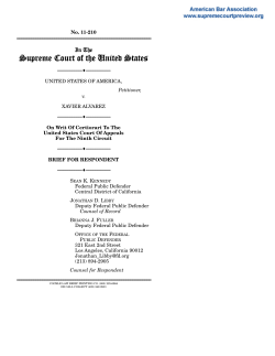 Brief for Respondent - American Bar Association