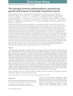 The linkages between photosynthesis
