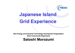 Japanese Island Grid Experience