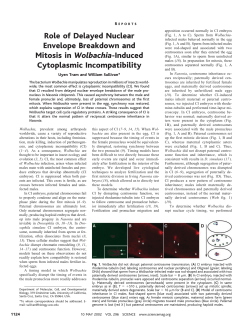 Role of Delayed Nuclear Envelope Breakdown