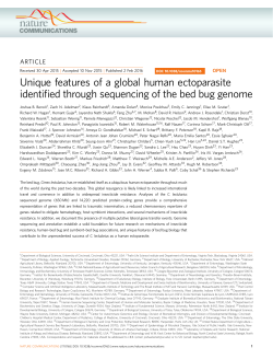 Unique features of a global human ectoparasite identified through