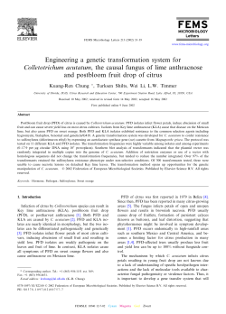 Engineering a genetic transformation system for Colletotrichum
