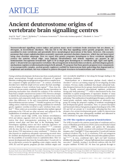 Ancient deuterostome origins of vertebrate brain signalling centres