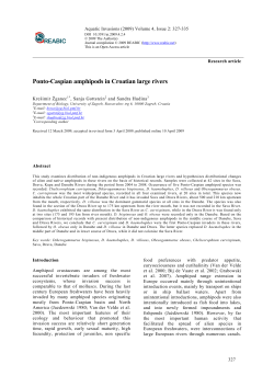 Ponto-Caspian amphipods in Croatian large rivers