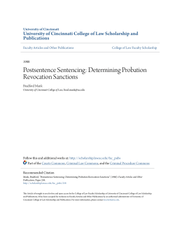 Determining Probation Revocation Sanctions