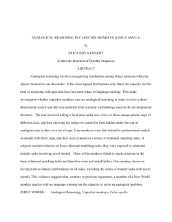 analogical reasoning in capuchin monkeys (cebus apella)