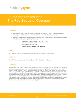 StudySync Lesson Plan The Red Badge of Courage