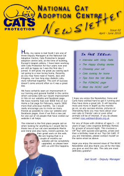 Interview with Vicky Halls > The Happy Ending