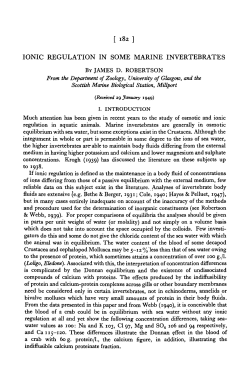 as a PDF