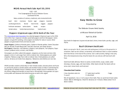 Easy Herbs to Grow - Webster Groves Herb Society