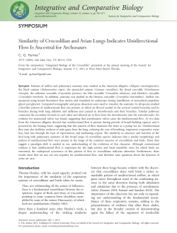 Similarity of Crocodilian and Avian Lungs Indicates Unidirectional