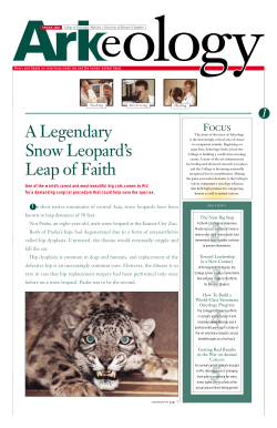 A Legendary Snow Leopard`s Leap of Faith