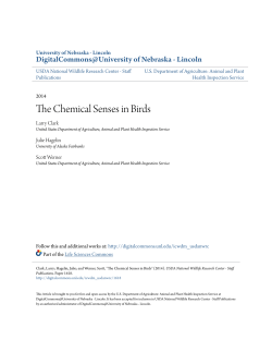The Chemical Senses in Birds - DigitalCommons@University of