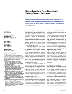 Marine Imaging in Three Dimensions: Viewing