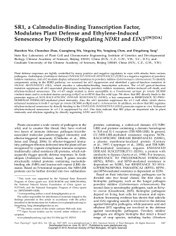 SR1, a Calmodulin-Binding Transcription Factor, Modulates Plant