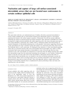 Nucleation and capture of large cell surface