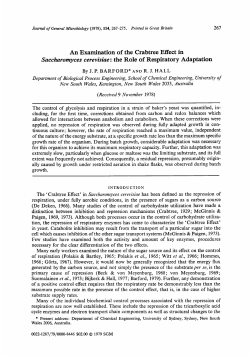 An Examination of the Crabtree Effect in