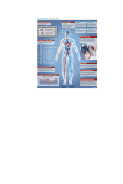 Hypertension: The Facts explained