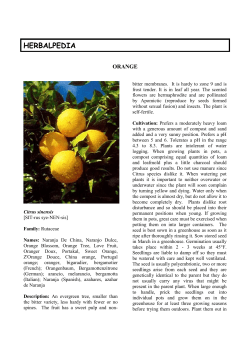Orange - The Herb Growing and Marketing Network