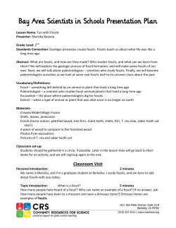 Bay Area Scientists in Schools Presentation Plan Bay Area