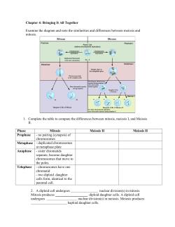 Study Guide Ch 4 - Bringing It Al Together