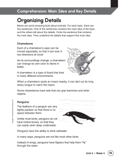 Main Idea and Key Details Organizing Details
