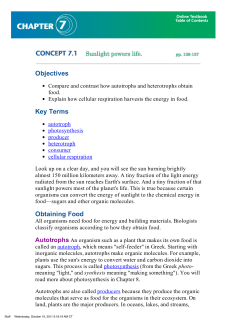 Chapter 7: Concept 7.1