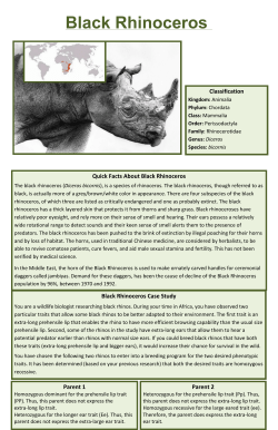 Python and Rhinoceros Case Studies