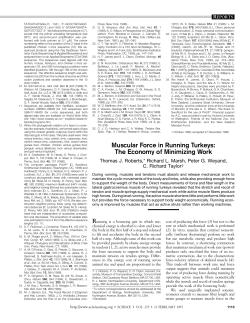Muscular Force in Running Turkeys: The Economy