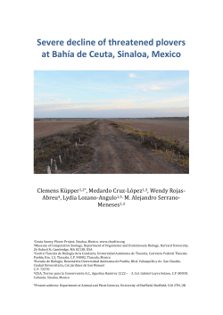 Severe Decline of Threatened Plovers at Bah&iacute;a de Ceuta, Sinaloa